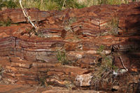 Rock strata by  Fortescue Falls